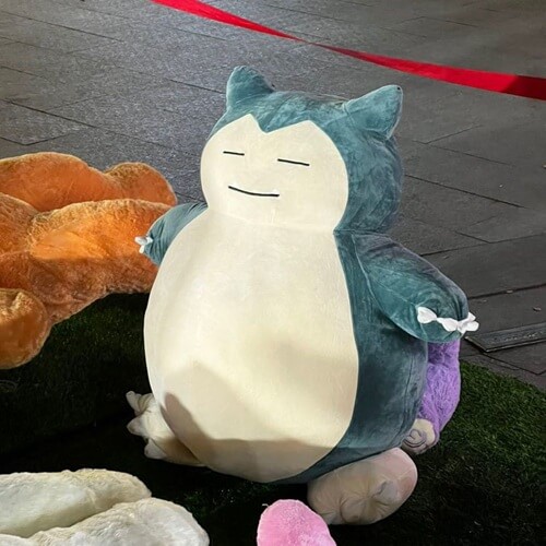 天天